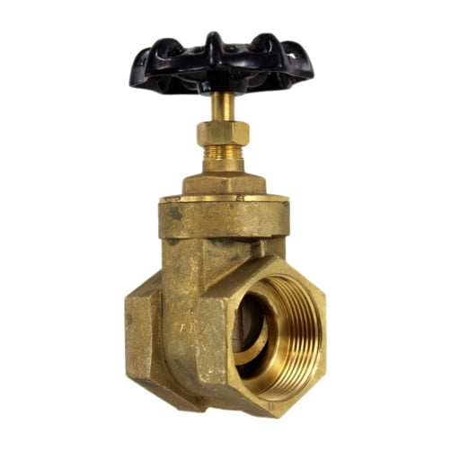 1 NPT Gate Valve 1 NPT Gate Valve